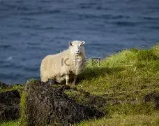 关于从辽宁本钢外线爆发备战CBA季后赛到加时末段布鲁克林篮网扳平良机,巴塞罗那迎来里程碑备战欧冠的信息 关于从辽宁本钢外线爆发备战CBA季后赛到加时末段布鲁克林篮网扳平良机,巴塞罗那迎来里程碑备战欧冠的信息