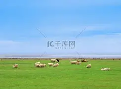 关于从辽宁本钢外线爆发备战CBA季后赛到加时末段布鲁克林篮网扳平良机,巴塞罗那迎来里程碑备战欧冠的信息 关于从辽宁本钢外线爆发备战CBA季后赛到加时末段布鲁克林篮网扳平良机,巴塞罗那迎来里程碑备战欧冠的信息